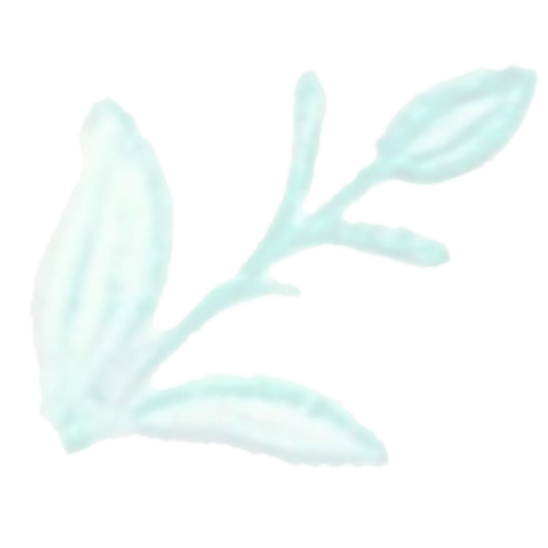 Blooming Delights 2U